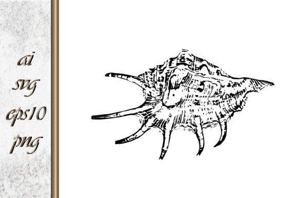Download Doodle Shellfish Hand Drawn Sketch Vecto - Shellfish Collection